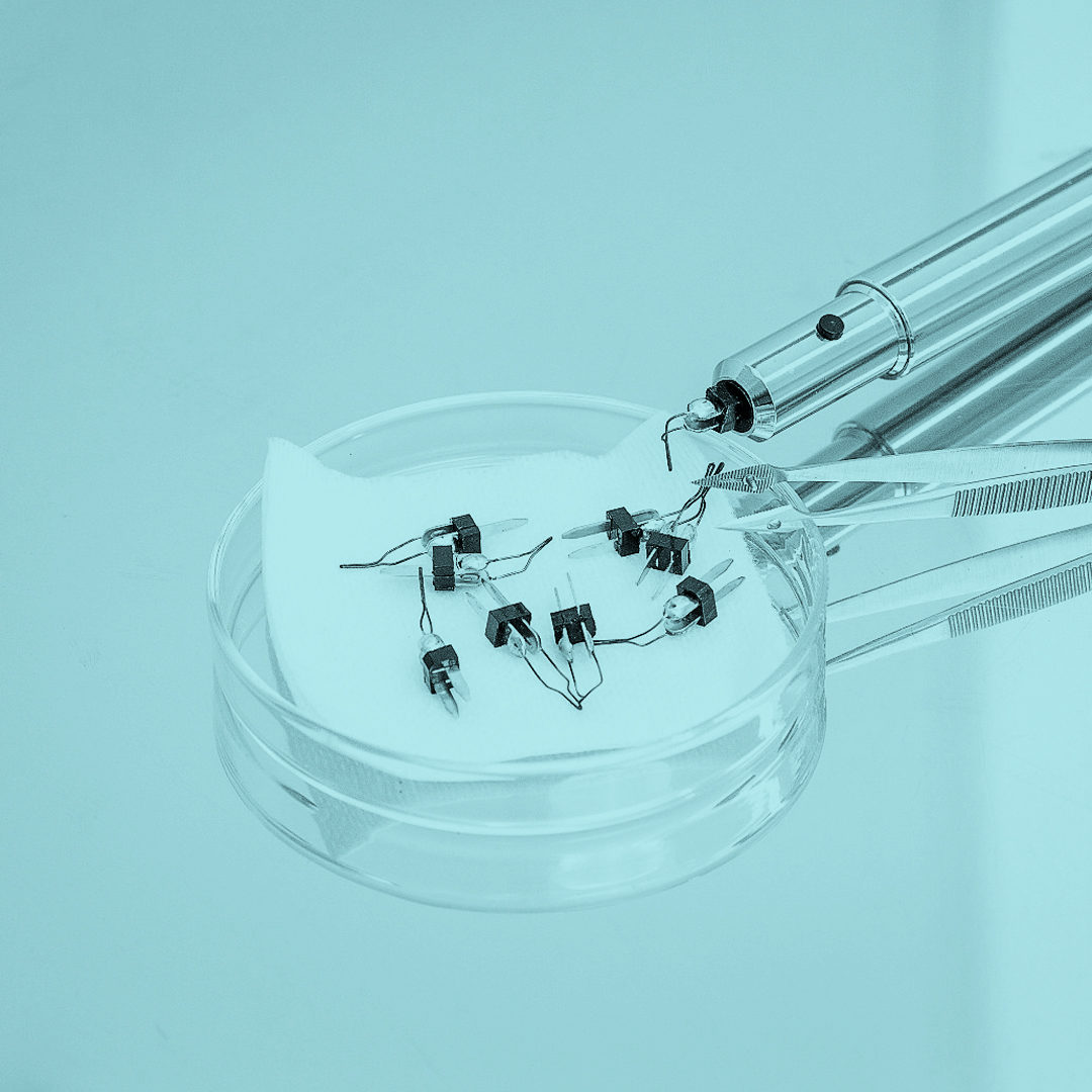 Výrůstky na kůži